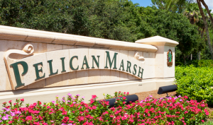 Pelican Marsh