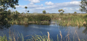 southwest florida roofing - environmental