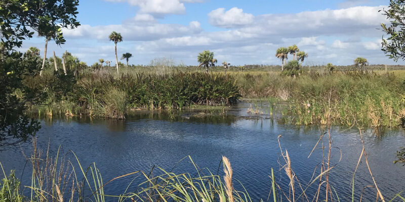 southwest florida roofing - environmental