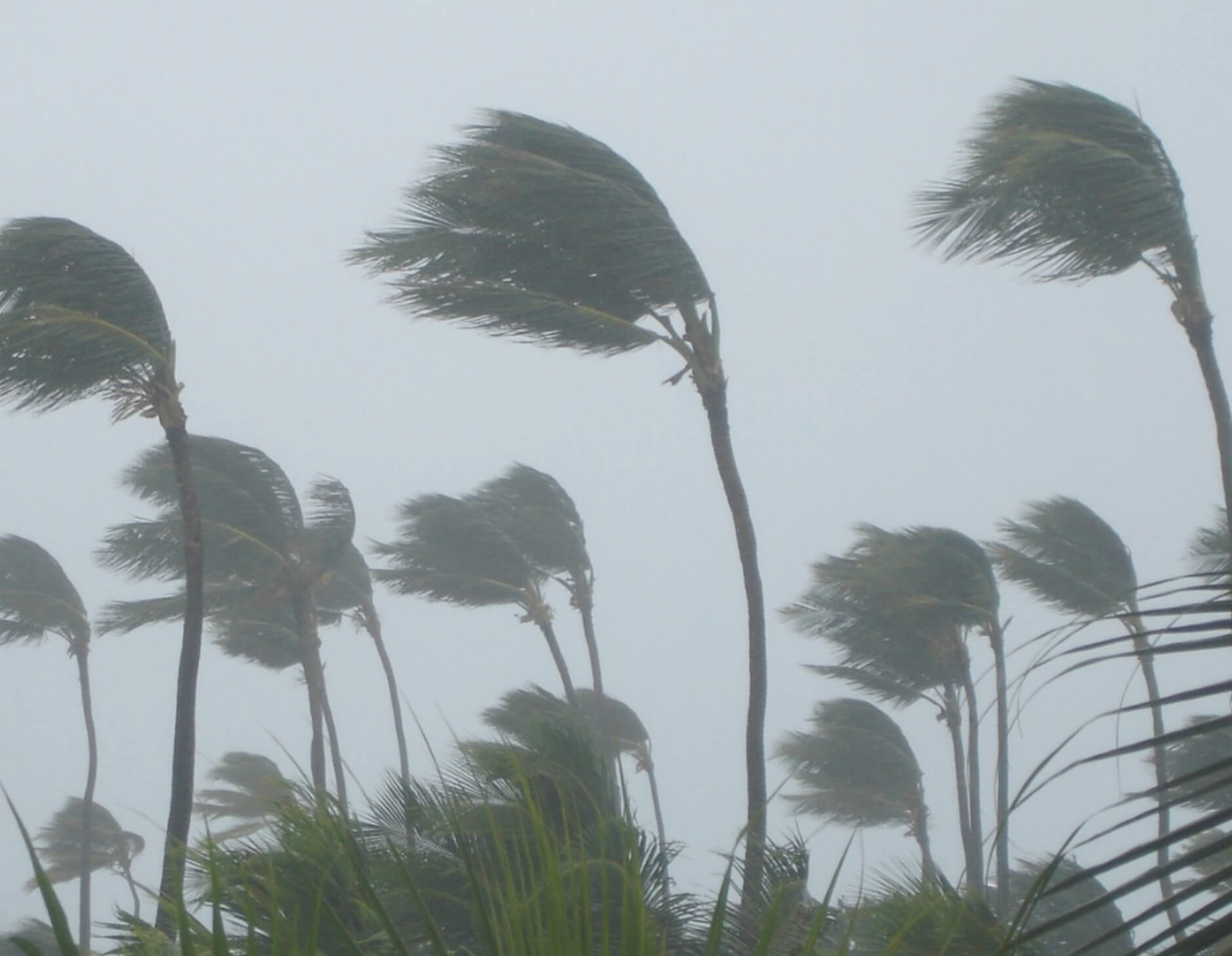 storm damage roof repair bonita springs